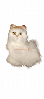 Кот из меха средний во Долгопрудном