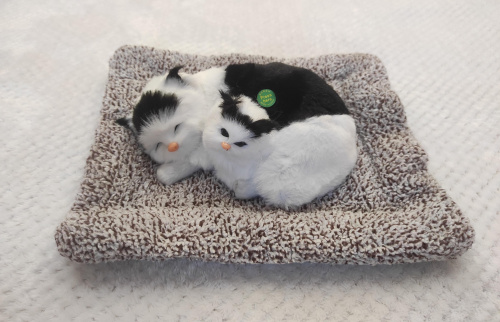 Купить "Кошка с котенком" во Долгопрудном фото 2 "Кошка с котенком" во Долгопрудном фото 2